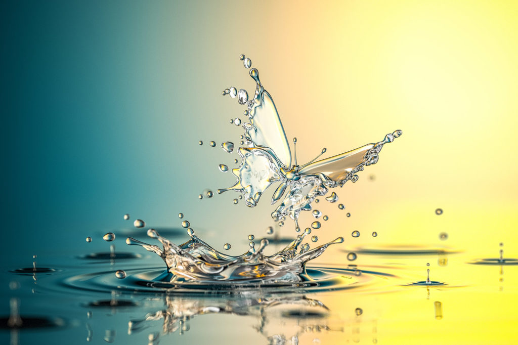 Lucid Living Becoming New